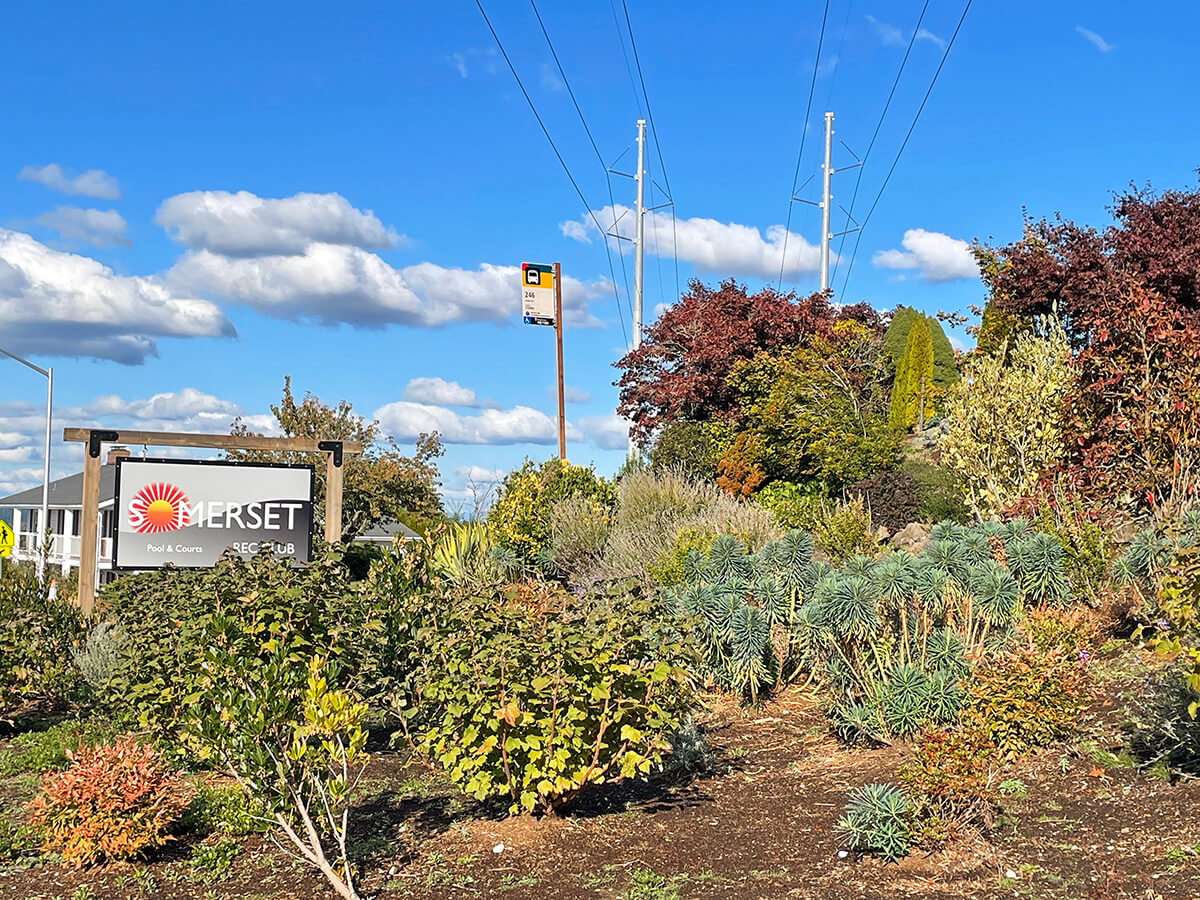 Native plants and shrubs are in the foreground. A sign for the Somerset Recreation Club is on the left, a bus stop sign is visible to the right of the sign, in the middle of the image. Transmission lines run above the landscaped area in the background, which also includes two grey transmission poles.